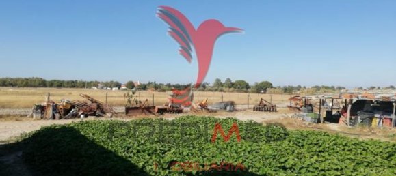 3 chambres Maison à Grandola, Portugal No. 59525 34