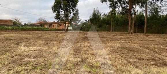 Земельный участок 3900м² в Авейру, Португалия № 86728 3