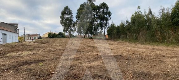 Земельный участок 3900м² в Авейру, Португалия № 86728 6