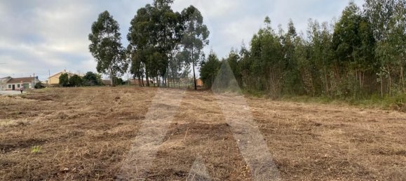 Земельный участок 3900м² в Авейру, Португалия № 86728 2