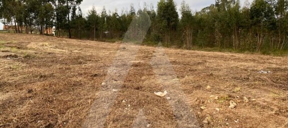 Земельный участок 3900м² в Авейру, Португалия № 86728 4