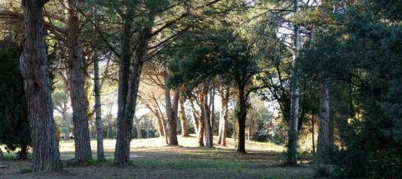 استوديو في Pyrenees-Orientales, France رقم 314843 3