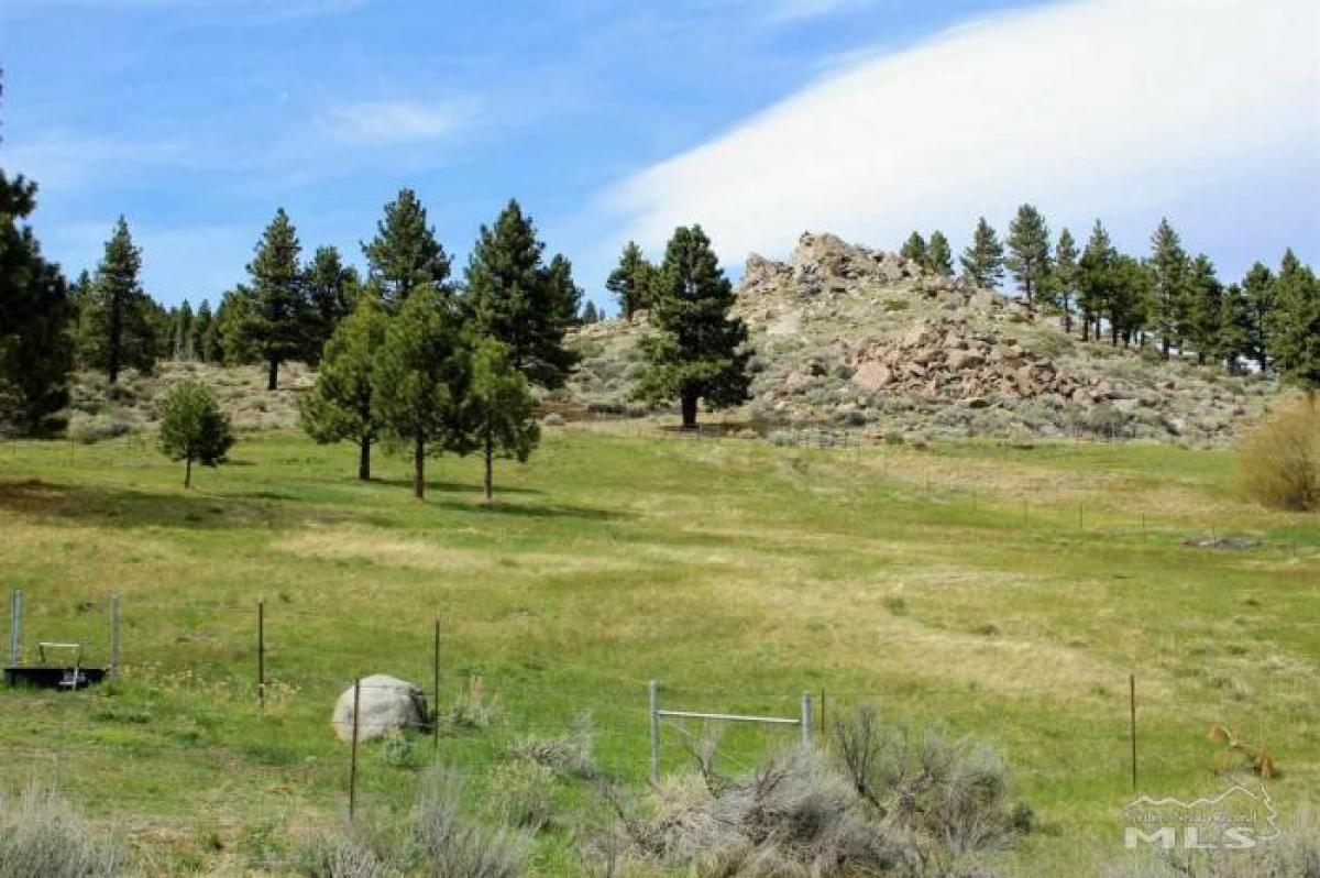 Terreno em Washoe Valley, USA N.º 462717
