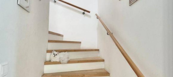 4-salle Maison de ville à Bad Fischau-Brunn, Austria No. 218424 7