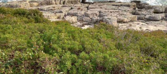  Hotel in Zakynthos, Greece No. 651 2