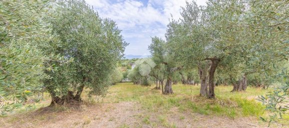 1 غرف نوم منزل في Monte Porzio Catone, Italy رقم 356960 9