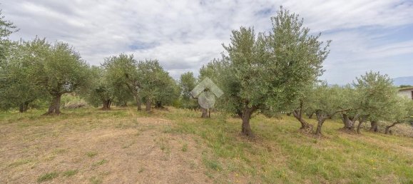 1 غرف نوم منزل في Monte Porzio Catone, Italy رقم 356960 10