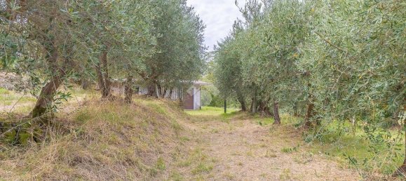 1 غرف نوم منزل في Monte Porzio Catone, Italy رقم 356960 8