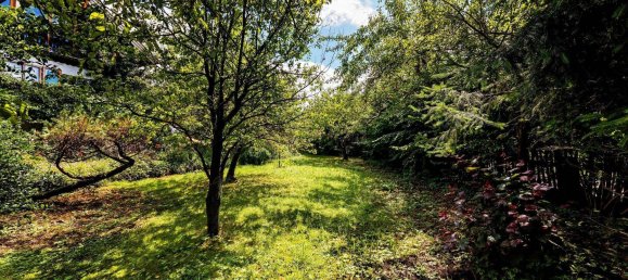  Land in Miesbach, Germany No. 268967 4