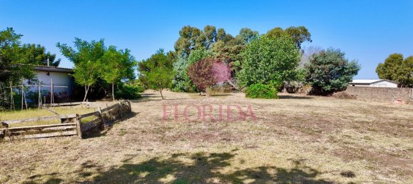 6 غرف نوم فيلا في Pomezia, Italy رقم 335031 43