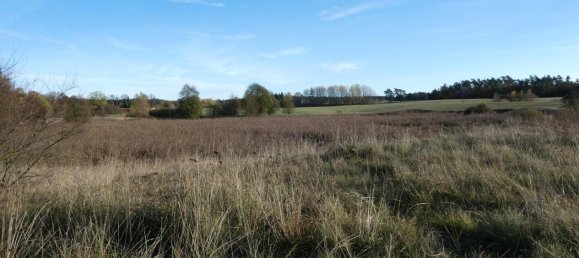 11 rooms House in Uckermark, Germany No. 332092 23