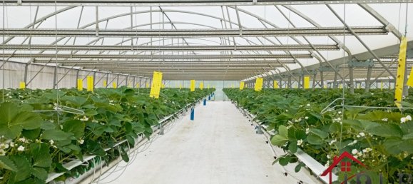 Castelos T3 em Vittel, France N.º 62526 10