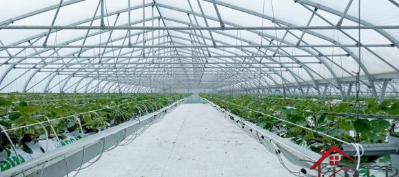 Castelos T3 em Vittel, France N.º 62526 16