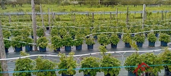 Castelos T3 em Vittel, France N.º 62526 18