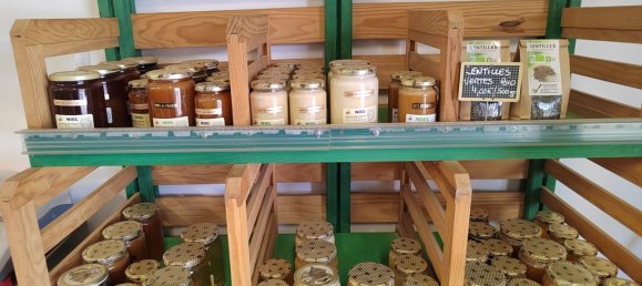 Castelos T3 em Vittel, France N.º 62526 22