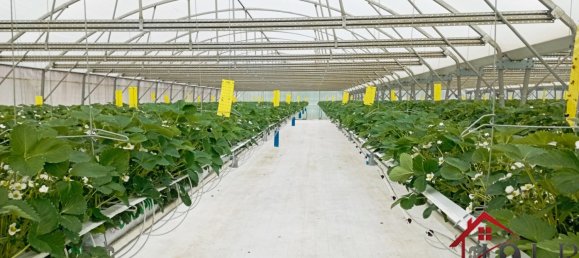 Castelos T3 em Vittel, France N.º 62526 4