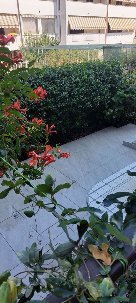 5غرفة منزل في Liscate, Italy رقم 339111