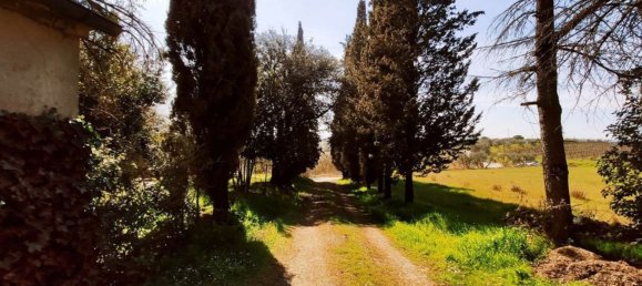 10 rooms House in Foiano della Chiana, Italy No. 228344 16