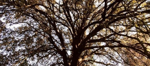 10 rooms House in Foiano della Chiana, Italy No. 228344 4