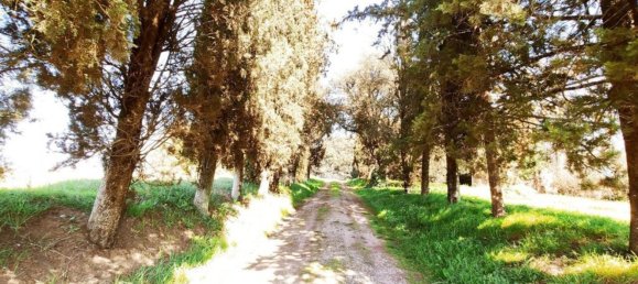 10 rooms House in Foiano della Chiana, Italy No. 228344 6