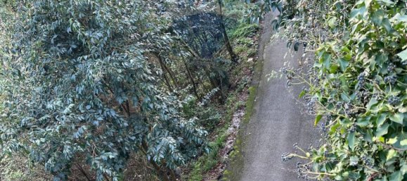 2-salle Appartement à Rapallo, Italy No. 287217 6