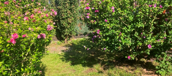 Таунхаус с 4 спальнями в Ганновер, Германия № 315434 7