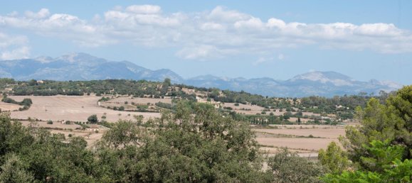 3 bedrooms Castles in Sineu, Spain No. 185431 21