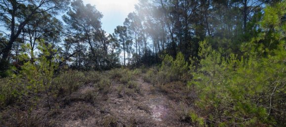 3 bedrooms Castles in Sineu, Spain No. 185431 32