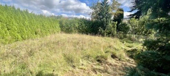 3 Schlafzimmer Stadthaus in Neubrandenburg, Germany, Nr. 11823 31