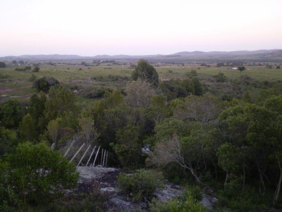  Farm in Maldonado, Uruguay No. 14224