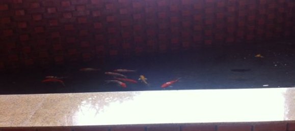 3 bedrooms Apartment in Nam Tu Liem, Vietnam No. 4563 19