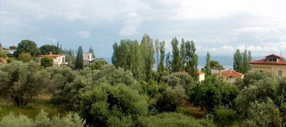 Propiedad comercial de 5 dormitorios en Euboea, Greece No. 7796 17