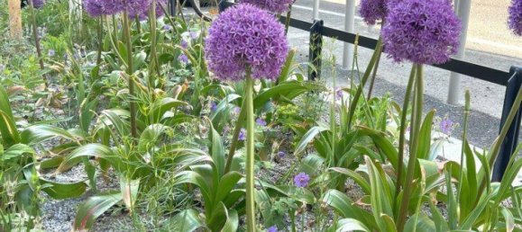 Studio à Favoriten, Austria No. 153759 10