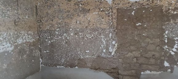 3 Schlafzimmer Haus in Moura, Portugal, Nr. 48441 6