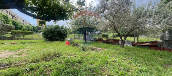 1 room Warehouse in Rome, Italy No. 362042 13