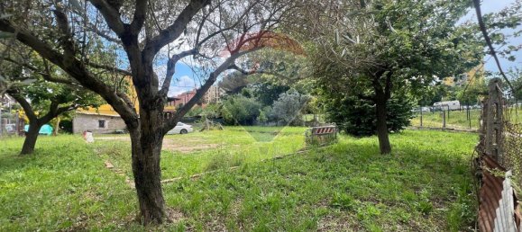 1 room Warehouse in Rome, Italy No. 362042 12