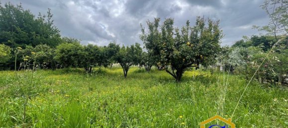 10 bedrooms House in Pastorano, Italy No. 363618 37