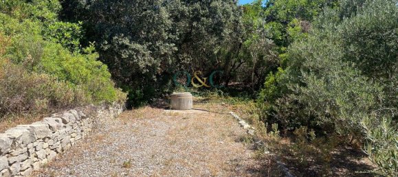 Terrain à Faro, Portugal No. 120383 7