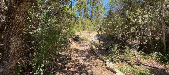 Terrain à Faro, Portugal No. 120383 8