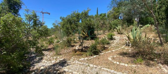 Terrain à Faro, Portugal No. 120383 9