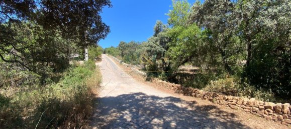 Terrain à Faro, Portugal No. 120383 5