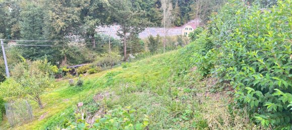  Land in Wernstein am Inn, Austria No. 64703 3