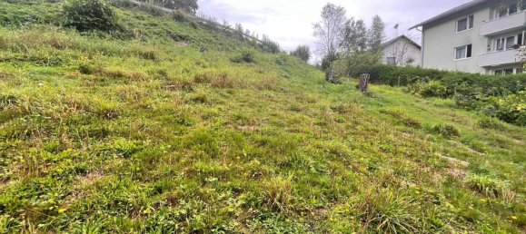  Land in Wernstein am Inn, Austria No. 64703 2
