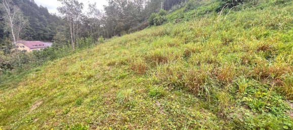  Land in Wernstein am Inn, Austria No. 64703 4