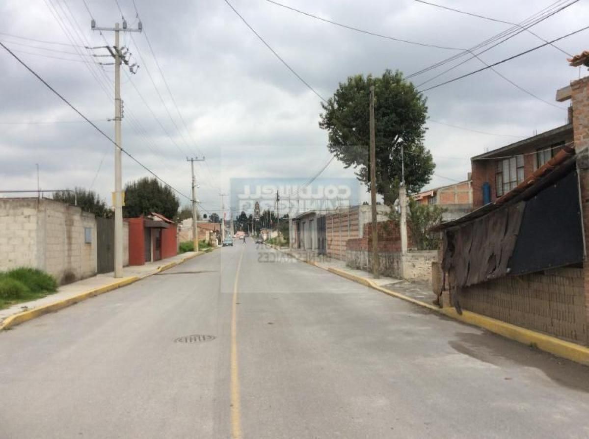  Land in Villa Guerrero, Mexico No. 204839