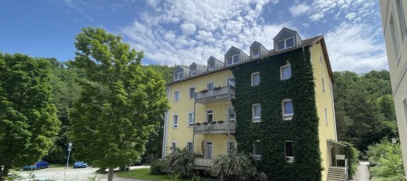 2-Zimmer Wohnung in Sächsische Schweiz-Osterzgebirge, Germany, Nr. 314120 2