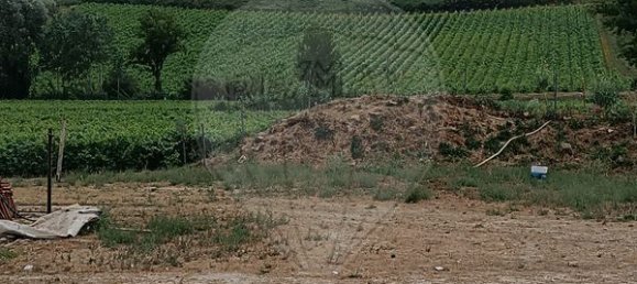  Castillos de 8 dormitorios en Alenquer, Portugal No. 46286 12