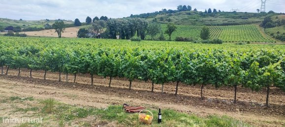  Castillos de 8 dormitorios en Alenquer, Portugal No. 46286 10