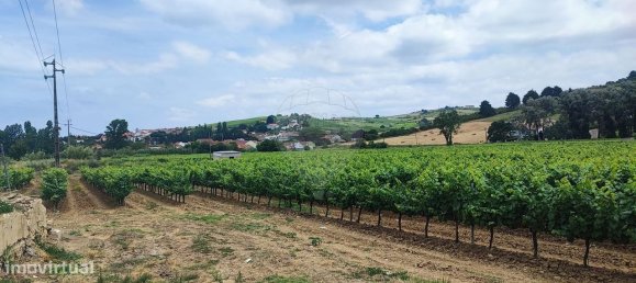  Castillos de 8 dormitorios en Alenquer, Portugal No. 46286 11