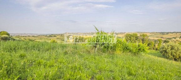 2887m² Land in Corridonia, Italy No. 264769 3